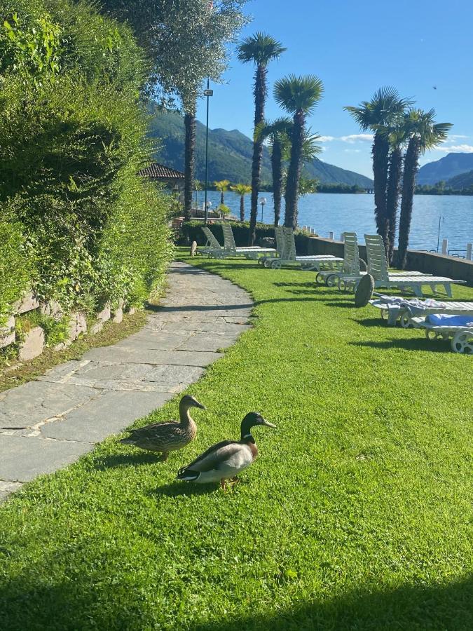 On The Lugano Apartment